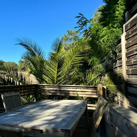 Bed & Breakfast Bel Ombre Cap Ferret Lège-Cap-Ferret